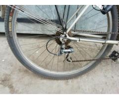 Продам в Рожище взрослый велосипед Staiger привезений з Німеччини